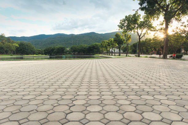Best Brick Driveway Pavers  in Cabool, MO